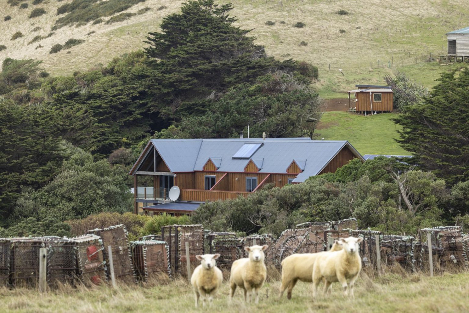 Chatham islands